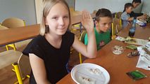 Zdjęcie: 3