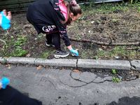 Zdjęcie: 1