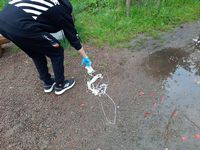 Zdjęcie: 4