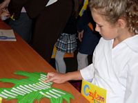 Zdjęcie: 14