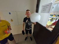 Zdjęcie: 33