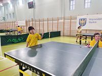 Zdjęcie: 45