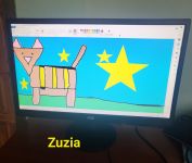 Zdjęcie: 22