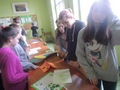 Zdjęcie: 7