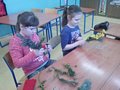 Zdjęcie: 11