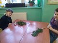 Zdjęcie: 15