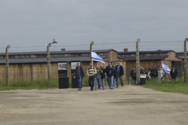 Zdjęcie: 12
