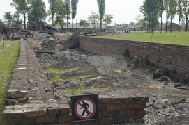 Zdjęcie: 14