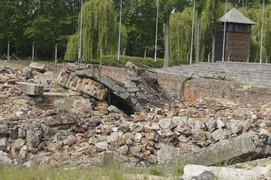 Zdjęcie: 15