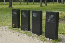 Zdjęcie: 16