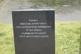 Zdjęcie: 17