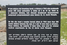 Zdjęcie: 19