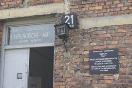 Zdjęcie: 7