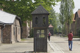 Zdjęcie: 9