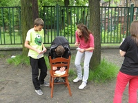 Zdjęcie: 11