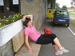 Zdjęcie: 65