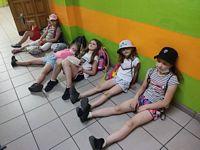 Zdjęcie: 4