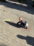 Zdjęcie: 17