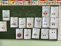 Zdjęcie: 7