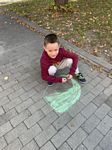 Zdjęcie: 8