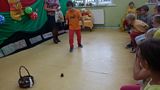 Zdjęcie: 10