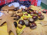 Skórnóg Julia, Wątor Michalina