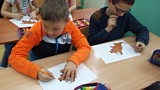 Zdjęcie: 12