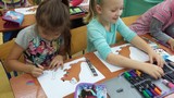 Zdjęcie: 14