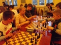 Zdjęcie: 8