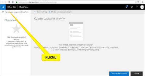 Office 365