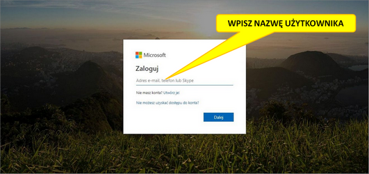 Office 365