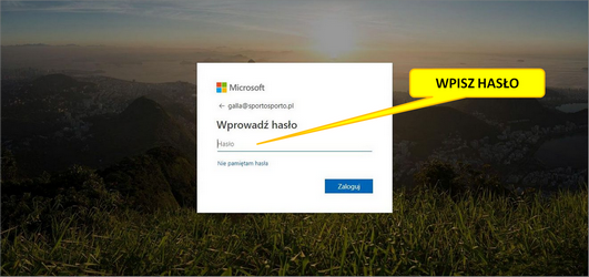 Office 365