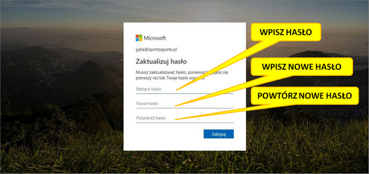 Office 365