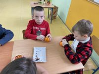Zdjęcie: 7