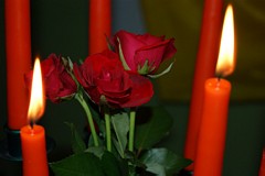 Zdjęcie: 17