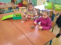 Zdjęcie: 44