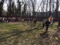 Zdjęcie: 45