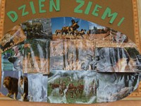 Zdjęcie: 7