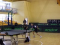 Zdjęcie: 11