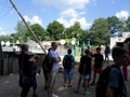 Zdjęcie: 10
