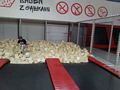 Zdjęcie: 7