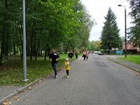 Zdjęcie: 37