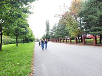 Zdjęcie: 43