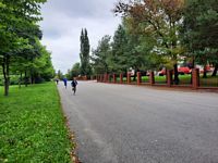 Zdjęcie: 55