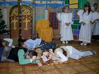 Zdjęcie: 16
