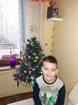 Zdjęcie: 15