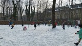 Zdjęcie: 30