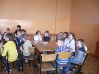 Zdjęcie: 8