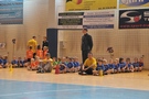Zdjęcie: 36
