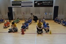 Zdjęcie: 43